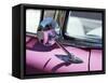 Close-Up of a Wing Mirror and Reflection on a Pink Cadillac Car-Mark Chivers-Framed Stretched Canvas