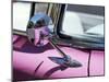 Close-Up of a Wing Mirror and Reflection on a Pink Cadillac Car-Mark Chivers-Mounted Photographic Print