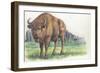 Close-Up of a Wisent Standing in the Forest (Bison Bonasus)-null-Framed Giclee Print