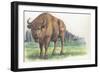 Close-Up of a Wisent Standing in the Forest (Bison Bonasus)-null-Framed Giclee Print