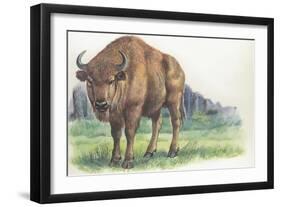 Close-Up of a Wisent Standing in the Forest (Bison Bonasus)-null-Framed Giclee Print