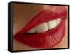 Close-up of a Woman's Mouth Showing Healthy Teeth-Phil Jude-Framed Stretched Canvas