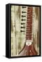 Close-Up of a Wood Indian Sitar String Instrument of Music in India-Bill Bachmann-Framed Stretched Canvas