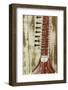 Close-Up of a Wood Indian Sitar String Instrument of Music in India-Bill Bachmann-Framed Photographic Print