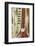 Close-Up of a Wood Indian Sitar String Instrument of Music in India-Bill Bachmann-Framed Photographic Print