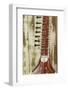 Close-Up of a Wood Indian Sitar String Instrument of Music in India-Bill Bachmann-Framed Photographic Print