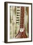Close-Up of a Wood Indian Sitar String Instrument of Music in India-Bill Bachmann-Framed Photographic Print