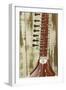 Close-Up of a Wood Indian Sitar String Instrument of Music in India-Bill Bachmann-Framed Photographic Print