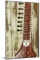 Close-Up of a Wood Indian Sitar String Instrument of Music in India-Bill Bachmann-Mounted Photographic Print
