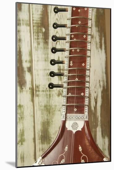 Close-Up of a Wood Indian Sitar String Instrument of Music in India-Bill Bachmann-Mounted Photographic Print