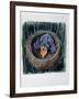 Close-Up of a Young Cuckoo in a Nest (Cuculus Canorus)-null-Framed Giclee Print