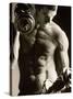 Close-up of a Young Man Working Out with Dumbbells-null-Stretched Canvas