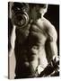 Close-up of a Young Man Working Out with Dumbbells-null-Stretched Canvas