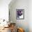 Close-up of a Young Woman Wearing Boxing Gloves-null-Framed Photographic Print displayed on a wall