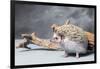 Close-up of African pygmy hedgehog-null-Framed Photographic Print