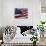 Close-up of American Flag-null-Stretched Canvas displayed on a wall