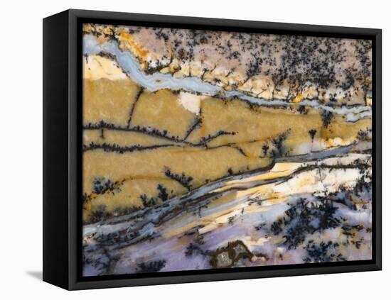 Close-Up of Amethyst Sage Agate, Nevada, USA-Dennis Kirkland-Framed Stretched Canvas