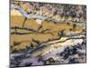 Close-Up of Amethyst Sage Agate, Nevada, USA-Dennis Kirkland-Mounted Premium Photographic Print