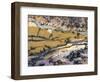 Close-Up of Amethyst Sage Agate, Nevada, USA-Dennis Kirkland-Framed Photographic Print