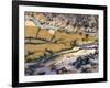 Close-Up of Amethyst Sage Agate, Nevada, USA-Dennis Kirkland-Framed Photographic Print