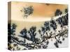 Close-Up of Amethyst Sage Agate, Nevada, USA-Dennis Kirkland-Stretched Canvas