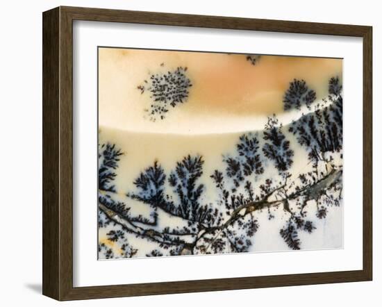 Close-Up of Amethyst Sage Agate, Nevada, USA-Dennis Kirkland-Framed Photographic Print