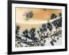 Close-Up of Amethyst Sage Agate, Nevada, USA-Dennis Kirkland-Framed Photographic Print