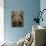 Close-Up of an African Elephant Trunk, Lake Manyara, Tanzania-null-Photographic Print displayed on a wall