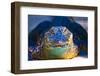 Close-up of an Alligator-null-Framed Photographic Print