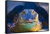 Close-up of an Alligator-null-Framed Stretched Canvas