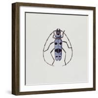 Close-Up of an Alpine Longicorn Beetle (Rosalia Alpina)-null-Framed Giclee Print