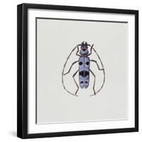 Close-Up of an Alpine Longicorn Beetle (Rosalia Alpina)-null-Framed Giclee Print