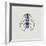 Close-Up of an Alpine Longicorn Beetle (Rosalia Alpina)-null-Framed Giclee Print