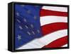 Close-up of an American Flag Waving in the Wind-null-Framed Stretched Canvas