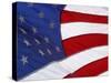 Close-up of an American Flag Waving in the Wind-null-Stretched Canvas