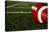 Close up of an American Football-33ft-Stretched Canvas