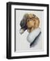 Close-Up of an Andean Condor (Vultur Gryphus)-null-Framed Giclee Print