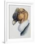 Close-Up of an Andean Condor (Vultur Gryphus)-null-Framed Giclee Print