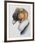 Close-Up of an Andean Condor (Vultur Gryphus)-null-Framed Giclee Print