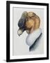 Close-Up of an Andean Condor (Vultur Gryphus)-null-Framed Giclee Print