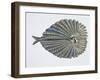 Close-Up of an Argus Pheasant Dancing with its Wings-null-Framed Giclee Print