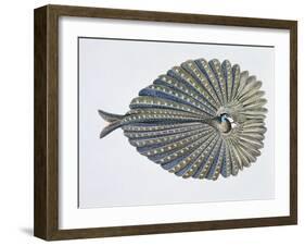 Close-Up of an Argus Pheasant Dancing with its Wings-null-Framed Giclee Print