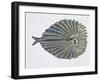 Close-Up of an Argus Pheasant Dancing with its Wings-null-Framed Giclee Print