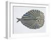 Close-Up of an Argus Pheasant Dancing with its Wings-null-Framed Giclee Print