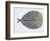 Close-Up of an Argus Pheasant Dancing with its Wings-null-Framed Premium Giclee Print