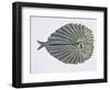 Close-Up of an Argus Pheasant Dancing with its Wings-null-Framed Premium Giclee Print