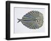 Close-Up of an Argus Pheasant Dancing with its Wings-null-Framed Giclee Print