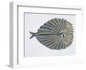 Close-Up of an Argus Pheasant Dancing with its Wings-null-Framed Giclee Print