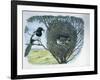 Close-Up of an Australian Magpie Holding an Insect for its Youngs-null-Framed Giclee Print