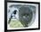 Close-Up of an Australian Magpie Holding an Insect for its Youngs-null-Framed Giclee Print